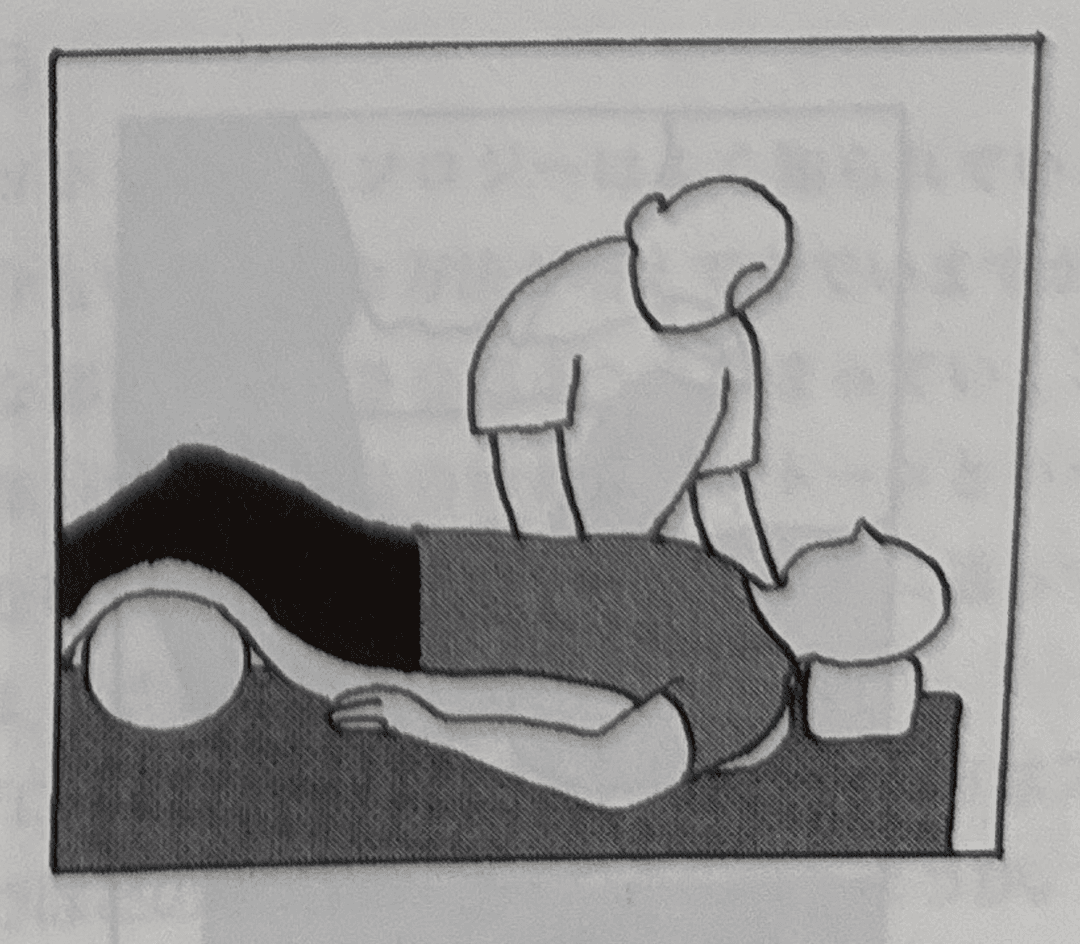 Figure 1: Hydrotherm lumbar support